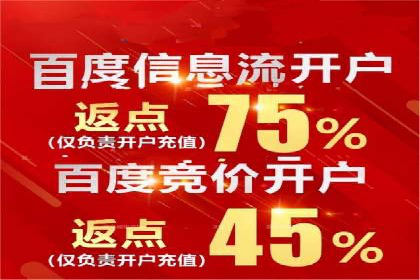 百度竞价案例分析：成功秘诀